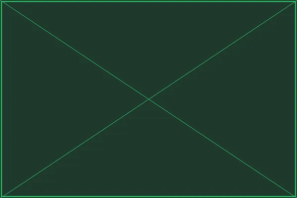 精灵酒馆冒险者心得分享墙 - 赏金女王试玩